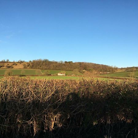 Appartamento The Annex, Fruit And Honey Farm Bridgwater Esterno foto