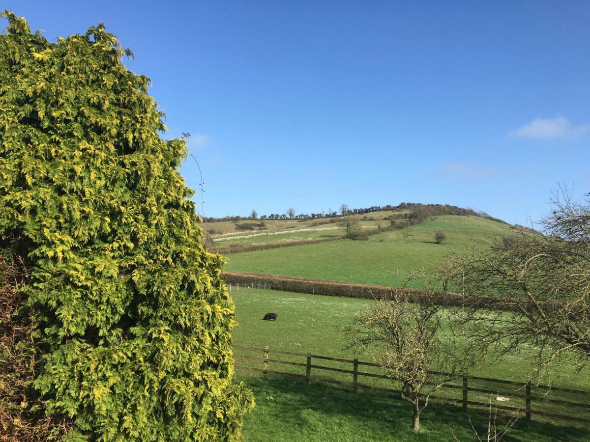 Appartamento The Annex, Fruit And Honey Farm Bridgwater Esterno foto